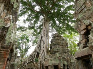 Siem Reap - Angkor Wat