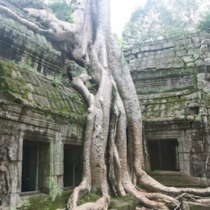 Angkor Temples - Cambodian cruises